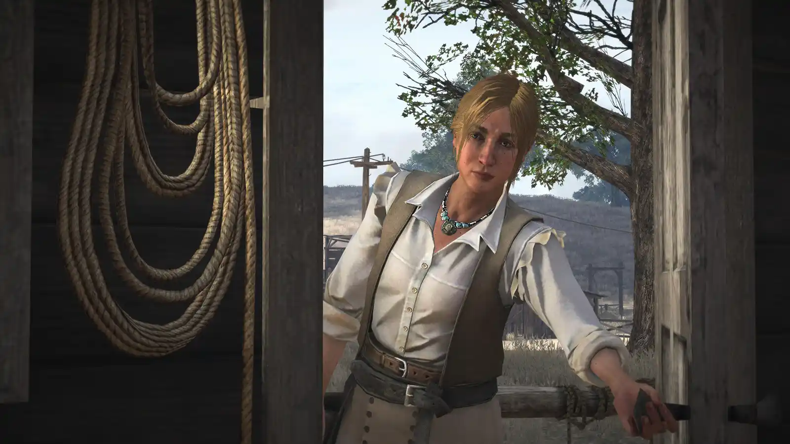 Paisaje nocturno de Red Dead Redemption 1 en 4K